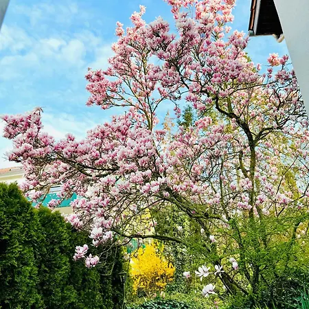 Daire An Den Weinbergen *